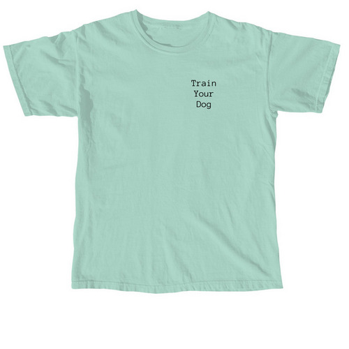 Train Your Dog Bold Collection, a Chalky Mint Comfort Colors Unisex Tee