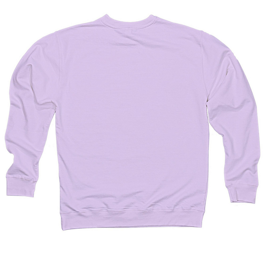 I wear purple for Epilepsy Awareness, a Lavender Midweight Crewneck Sweatshirt (back-view)