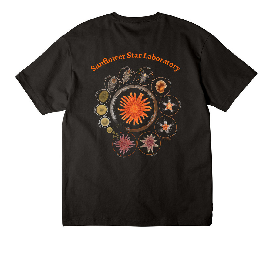 Sunflower Star Life Cycle, a Black Unisex Heavyweight Tee (back-view)