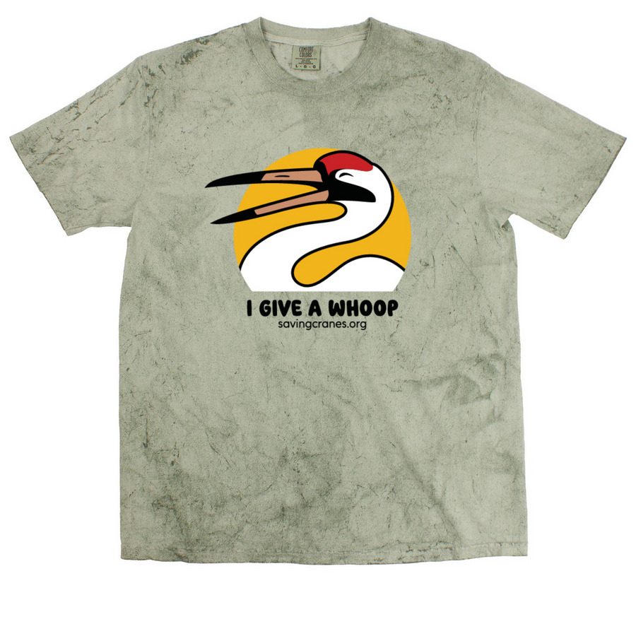 I GIVE A WHOOP TIE DYE, a Fern Comfort Colors Colorblast Tee