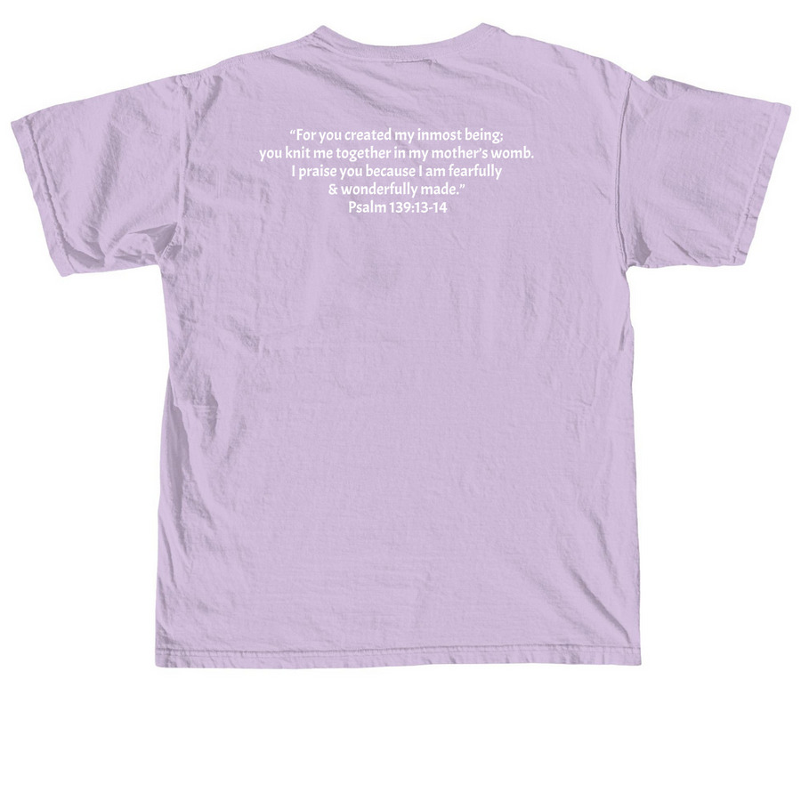 CREATED- Valley T-Shirts, a Orchid Comfort Colors Unisex Tee (back-view)