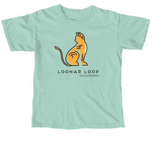 Front Range Freedom Rescue Icon - Loonar Loop, a Chalky Mint Comfort Colors Unisex Tee