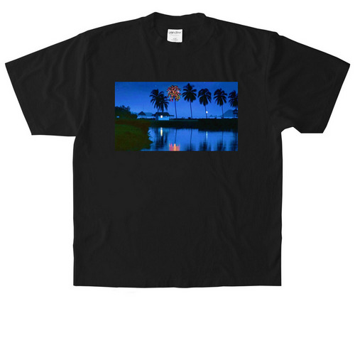 O'Tannenpalm, a Black Heavyweight Garment Dye Tee
