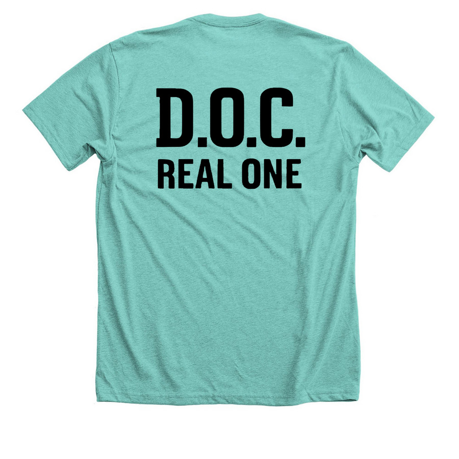 Feminine Felons Reunion Tee- L.I.L.U., a Heather Sea Green Premium Unisex Tee (back-view)