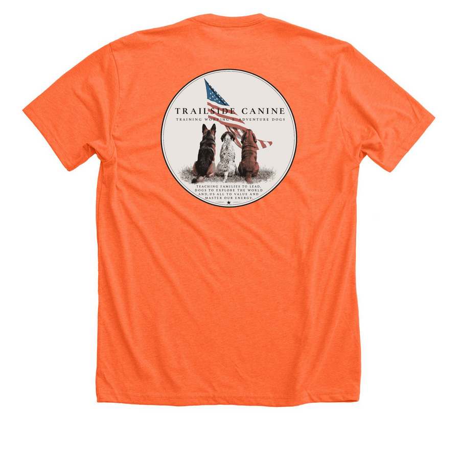 TC America 250 Logos&nbsp;, a Heather Orange Premium Unisex Tee (back-view)