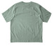 Native Butterflies of the WildLands, a Aloe Stanley/Stella Unisex Freestyler Heavyweight Tee (back-view)