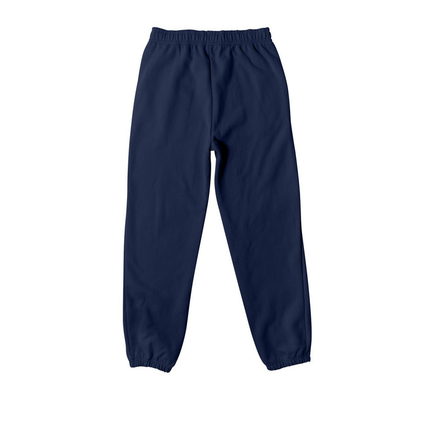 STAPLE JOGGERS 01, a Navy Premium Heavyweight Jogger (back-view)