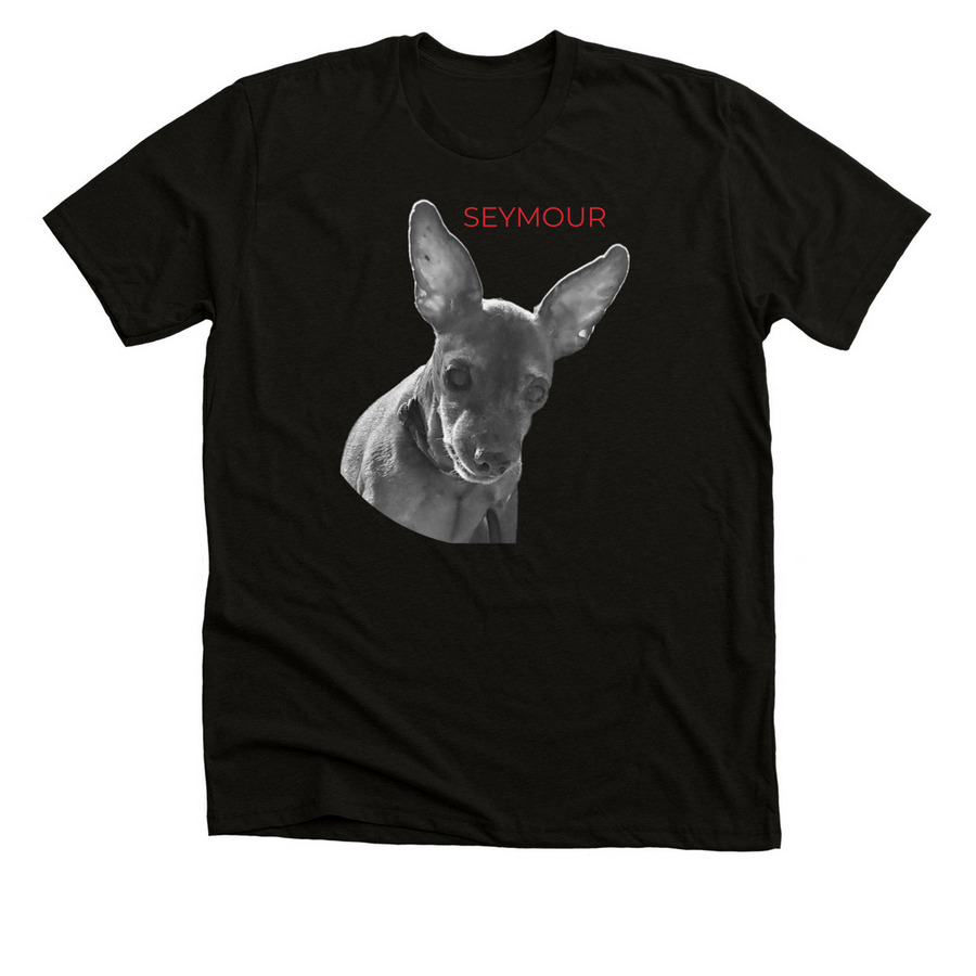 Seymour's Shirts, a Black Heather Premium Unisex Tee