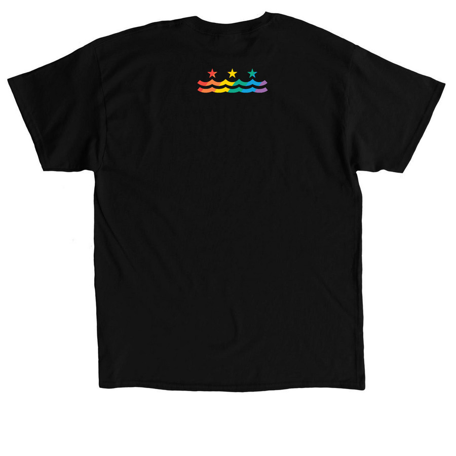 DCAC Pride 2023 Lowercase Logo Dark, a Black Classic Unisex Tee (back-view)