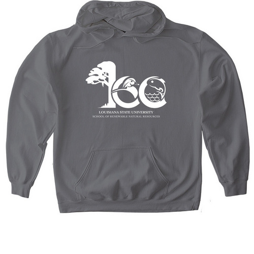 School of Renewable Natural Resources 100Year, a Charcoal Gildan Softstyle Pullover Hoodie