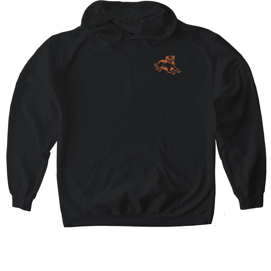 Flash Sheet, a Black Gildan Softstyle Pullover Hoodie