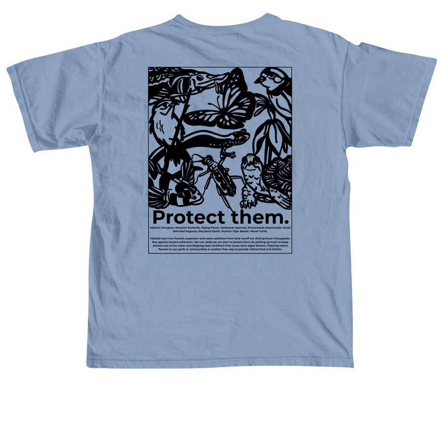 Protect the Chesapeake, a Washed Denim Comfort Colors Unisex Tee (back-view)