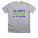 CRF Logo Apparel, a Athletic Heather Premium Unisex Tee