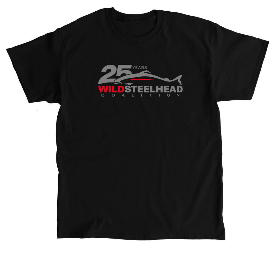 25th Anniversary Logo T, a Black Classic Unisex Tee
