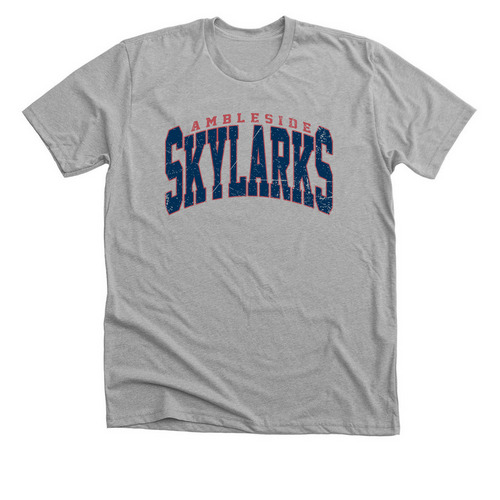 Ambleside Skylarks, a Athletic Heather Premium Unisex Tee