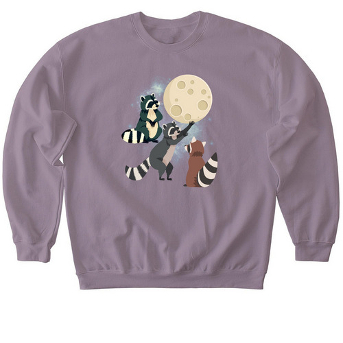 Raccoons & the Moon, a Paragon Softstyle Crewneck Sweatshirt