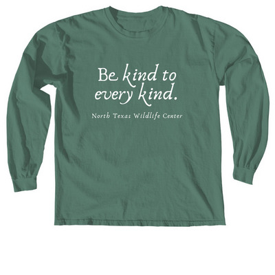 be kind to every kind, a Light Green Comfort Colors Long Sleeve Tee