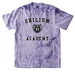 ? Orilium Academy, a Amethyst Comfort Colors Colorblast Tee
