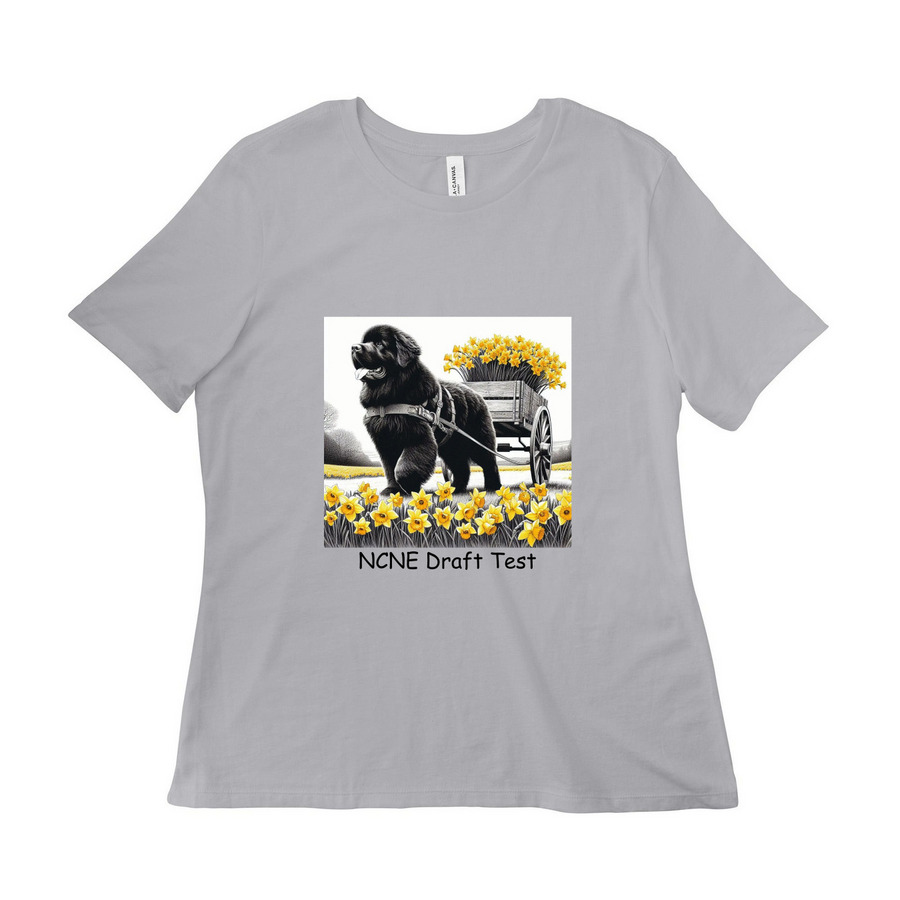 NCNE Draft Test&nbsp;, a Solid Athletic Grey Women?s Relaxed Cotton Tee