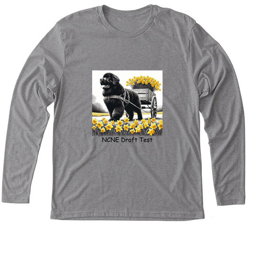 NCNE Draft Test&nbsp;, a Premium Heather Triblend Long Sleeve Tee