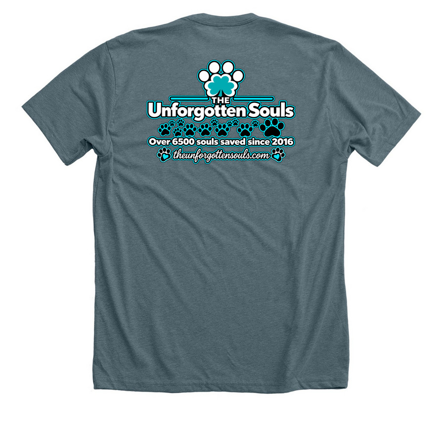 10yr Anniversary, a Heather Slate Premium Unisex Tee (back-view)
