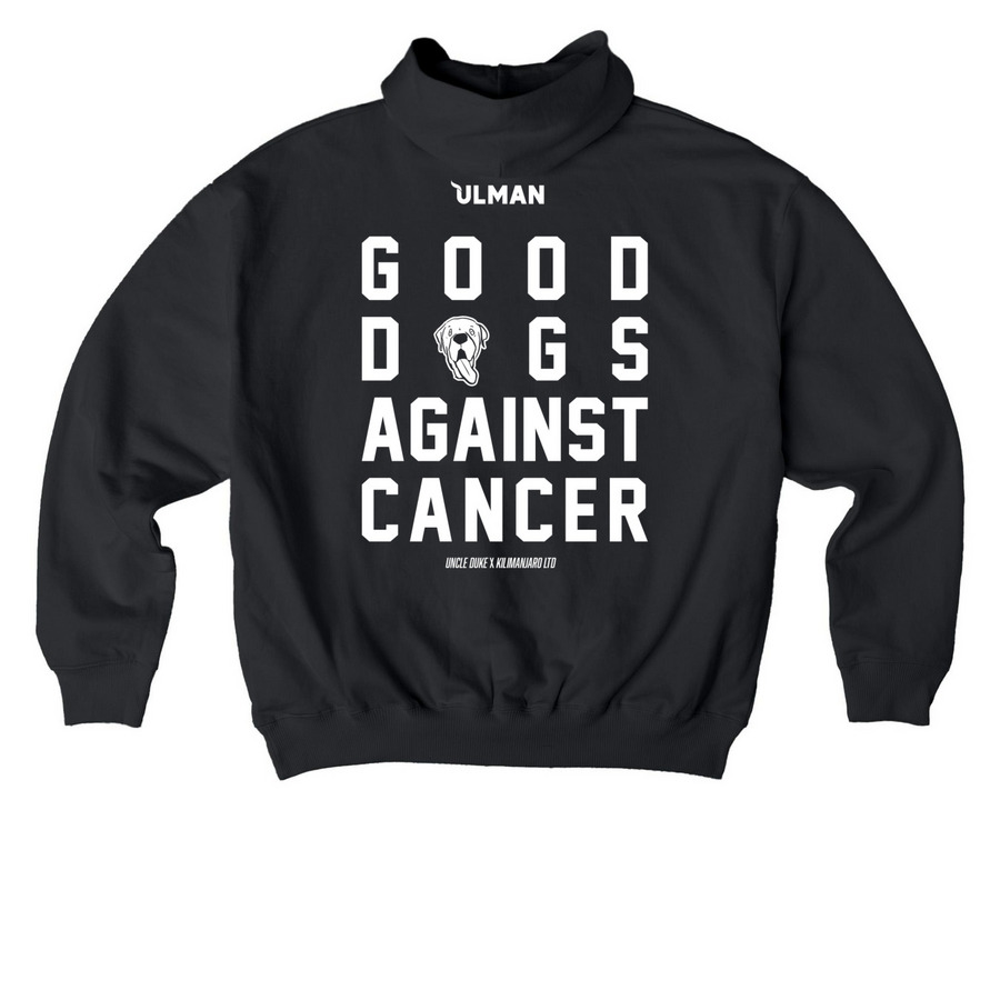 Good Dogs Against Cancer - LTD - Dark, a Black Stanley/Stella Cooper Dry Pullover Hoodie (back-view)