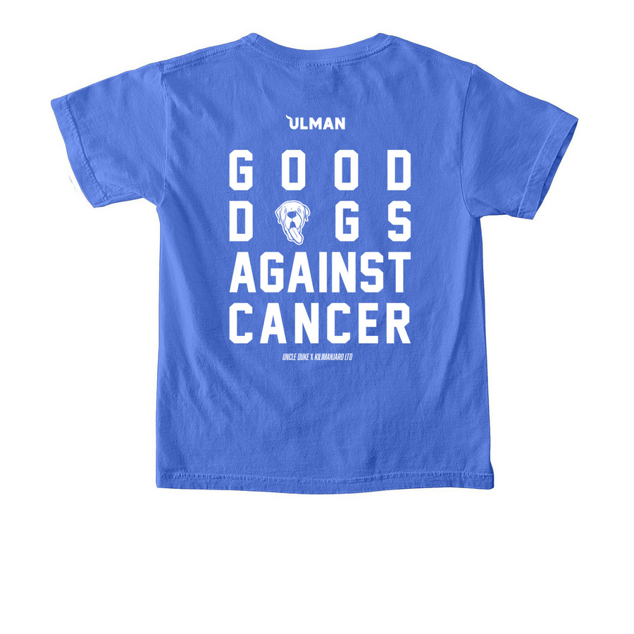 Good Dogs Against Cancer - LTD - Dark, a Flo Blue Comfort Colors Youth Tee (back-view)