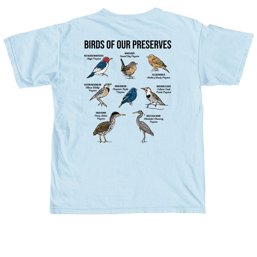 Year of the Birds, a Chambray Comfort Colors Unisex Tee (back-view)