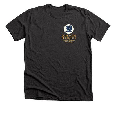 LDI 15 Year Anniversary New Logo, a Dark Grey Heather Premium Unisex Tee
