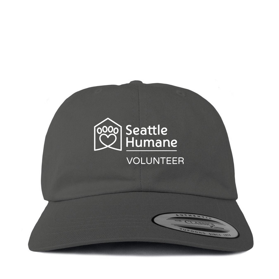 Hats, a Dark Gray Printed Classic Baseball Cap