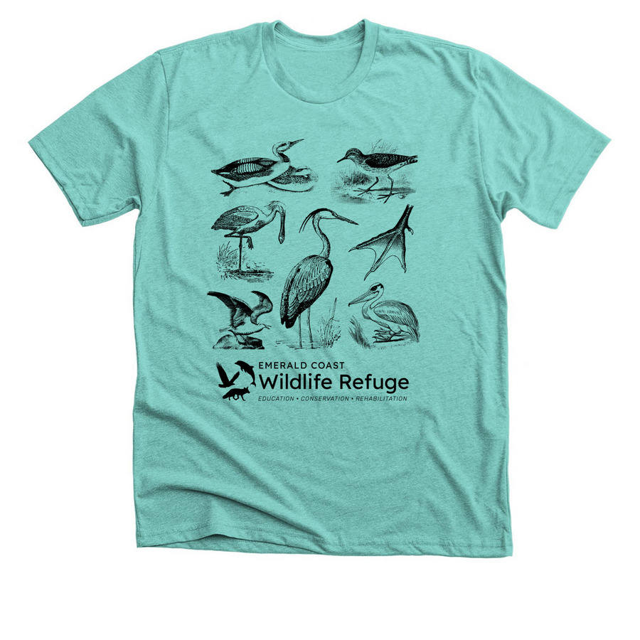 Aquatic Birds of NWFL, a Heather Sea Green Premium Unisex Tee