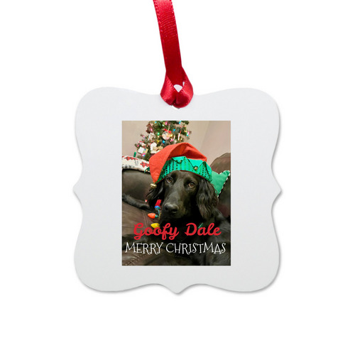 Goofy Dale Christmas Ornament, a White Aluminum Square Ornament