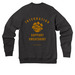 Integration Support Cozy Crewneck, a Dark Grey Heather Premium Raglan Crewneck Sweatshirt (back-view)