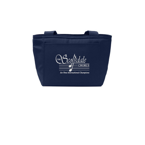 Lunch tote!, a River Blue Navy Insulated Lunch Tote