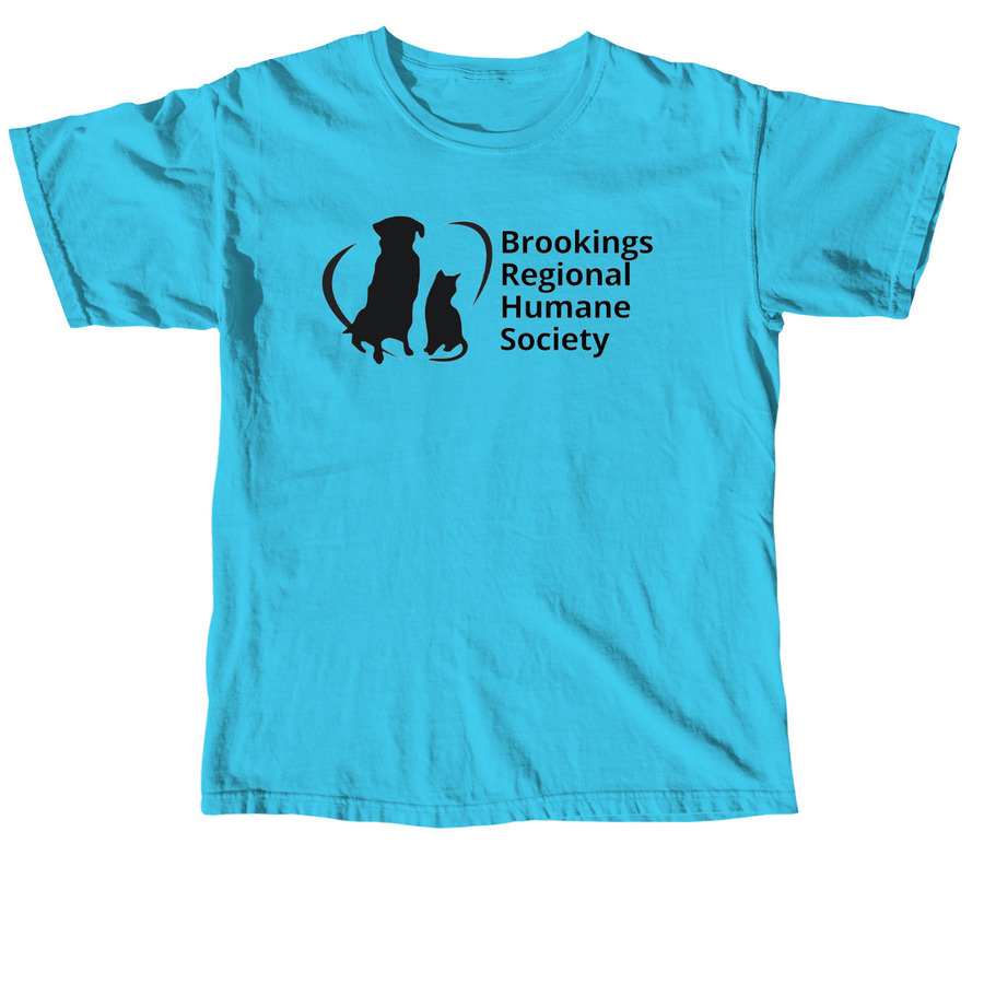 Summer 2024 Gear, a Lagoon Blue Comfort Colors Unisex Tee