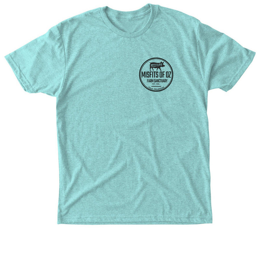 Double sided statement tee, a Tahiti Blue Triblend Unisex Tee