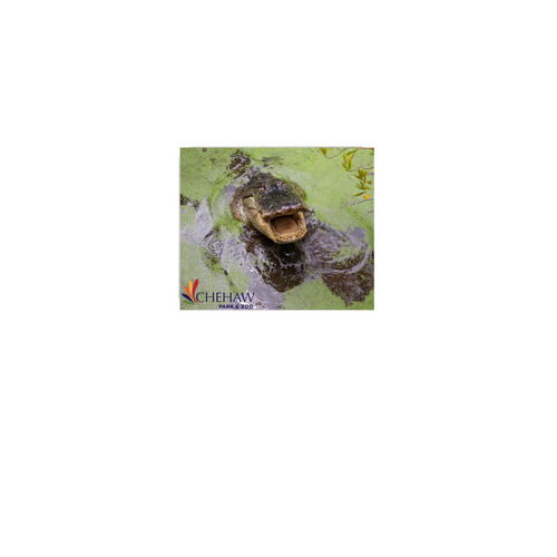 Charlie, American Alligator, Mouse Pad, a White Full Color Mouse Pad