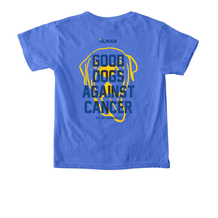 Good Dogs Against Cancer - LTD - MultiColor, a Flo Blue Comfort Colors Youth Tee (back-view)