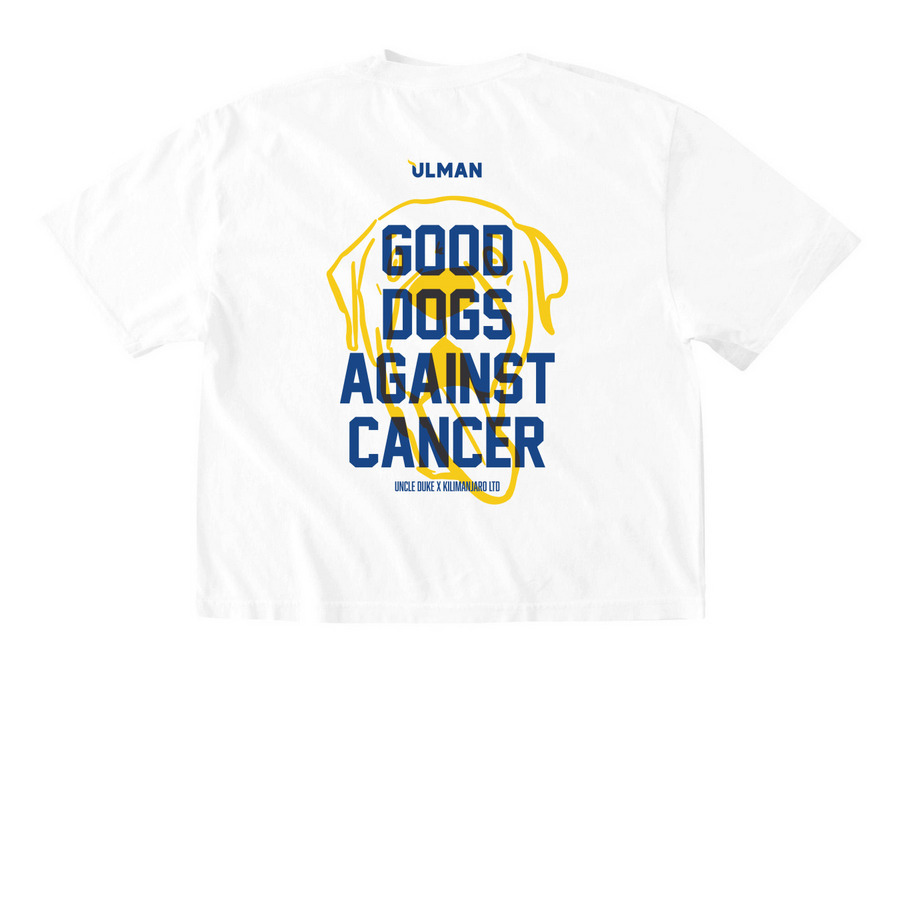 Good Dogs Against Cancer - LTD - MultiColor, a White Comfort Colors Boxy Tee (back-view)