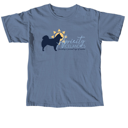 Apricity Front/Back Design, a Blue Jean Comfort Colors Unisex Tee