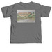 Spring 2024 SOTA T-Shirt, a Grey Comfort Colors Unisex Tee (back-view)