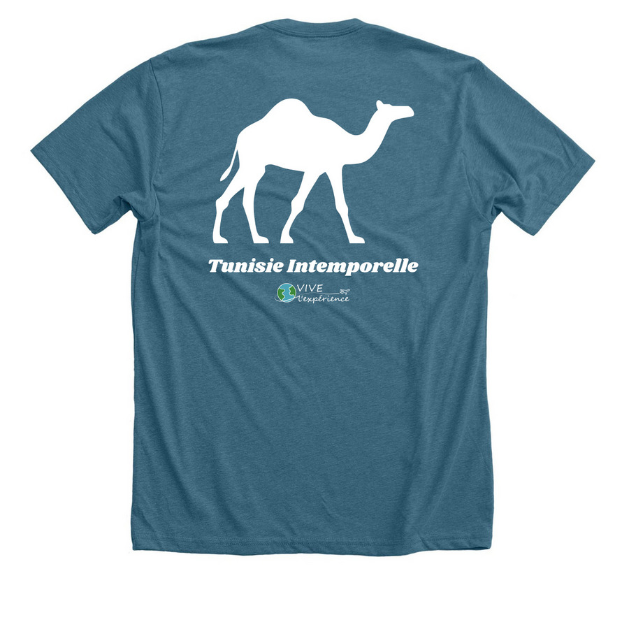 Vive Tunisia 2026, a Heather Deep Teal Premium Unisex Tee (back-view)