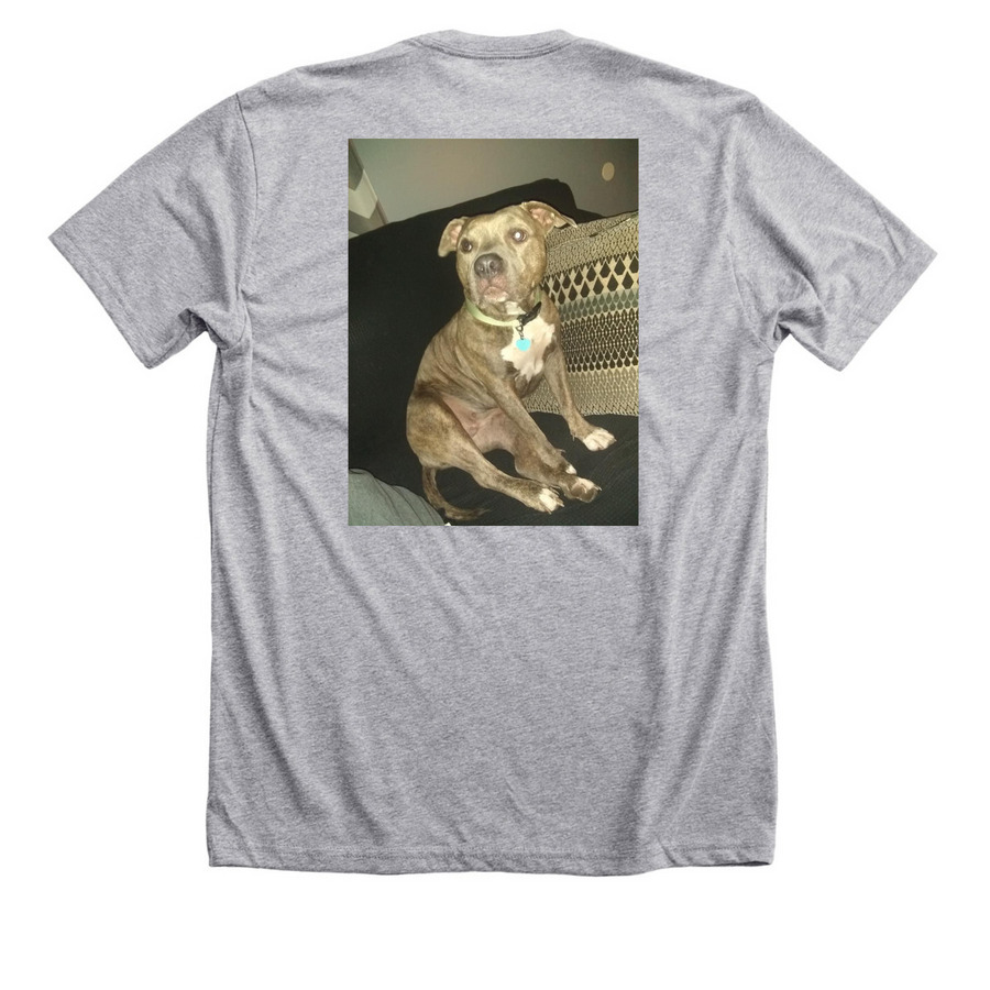Team Abby, a Athletic Heather Premium Unisex Tee (back-view)