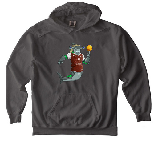 Lissi Shack Hoodie, a Pepper Comfort Colors Pullover Hoodie