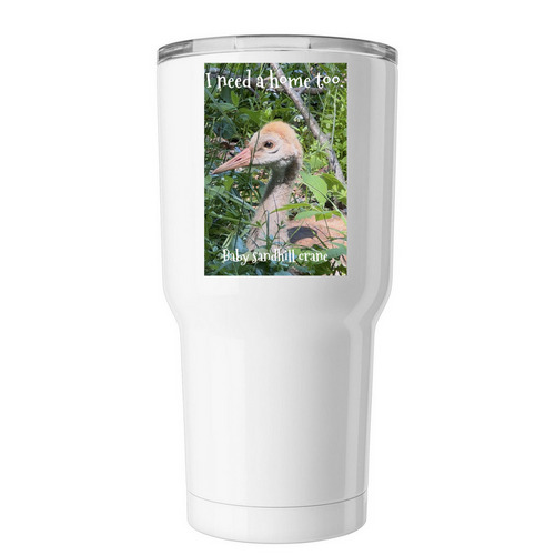 I need a home too.&nbsp;, a White Insulated Tumbler