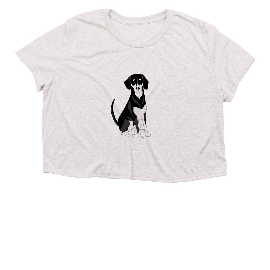 Willow, a Heather Dust Women?s Flowy Cropped Tee