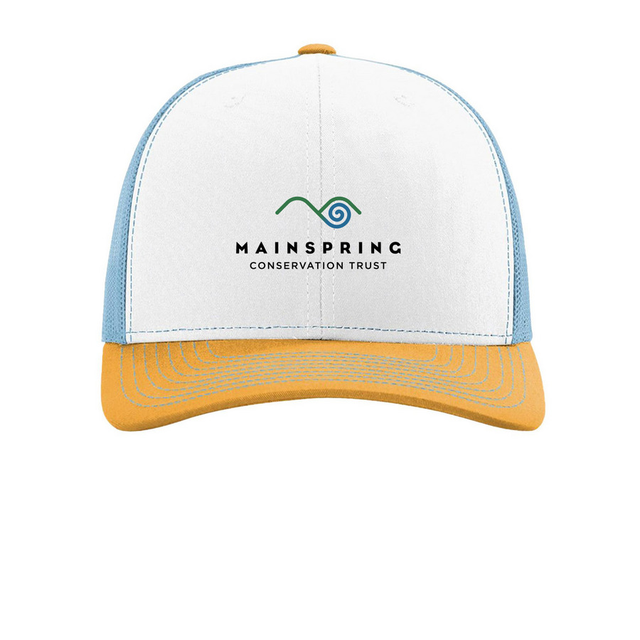 Mainspring Pride- Hats, a White/ Columbia Blue/ Yellow Printed Snapback Trucker Cap