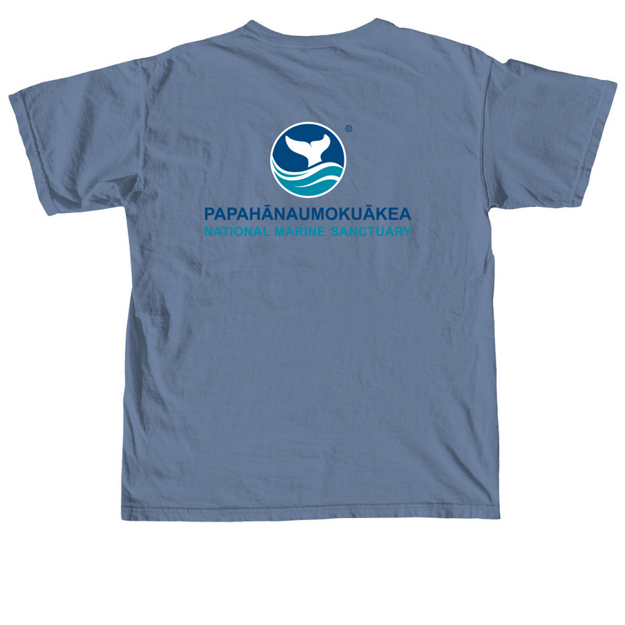 PNMS Logo Tee, a Blue Jean Comfort Colors Unisex Tee (back-view)
