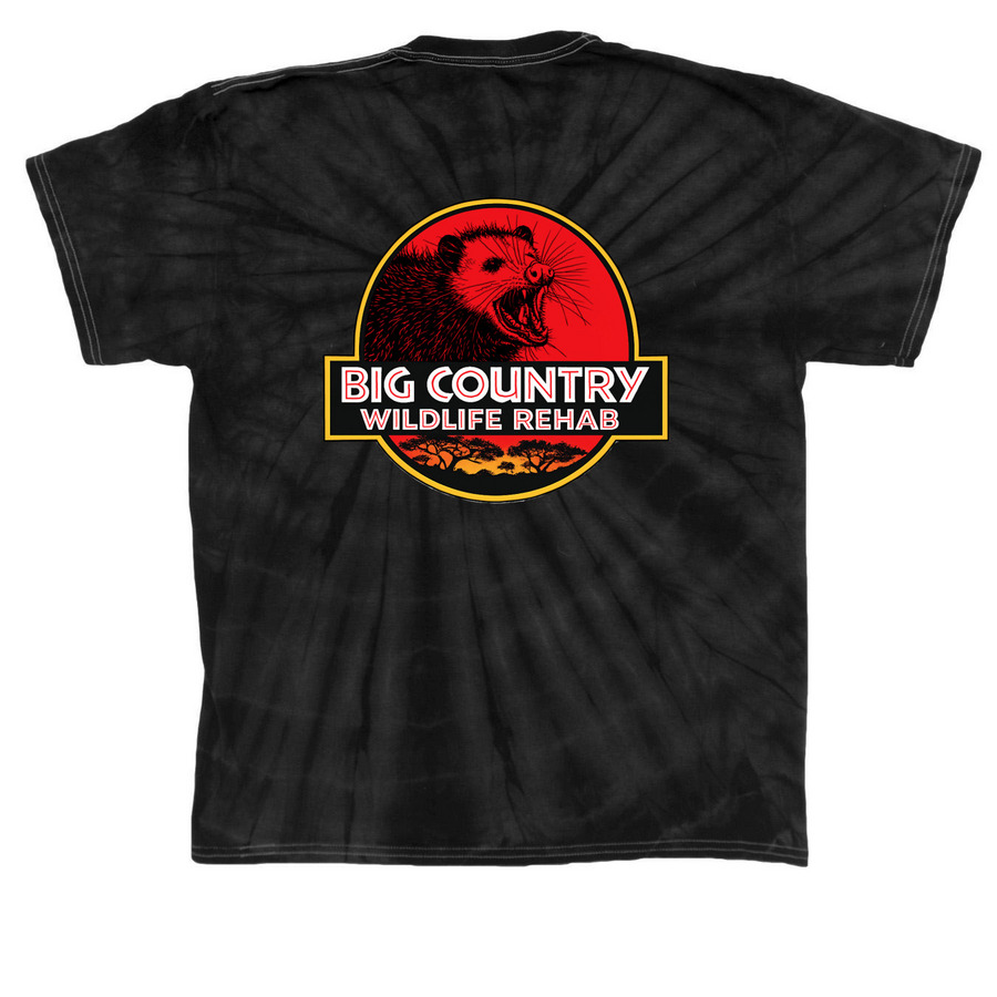 A Walk In The Park, a Black Classic Tie Dye Tee (back-view)