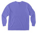 NWBC long sleeved shirt, a Violet Comfort Colors Long Sleeve Pocket Tee (back-view)